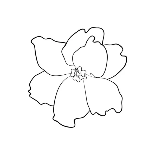 Vector Illustration Isolated Violet Flower Black White Colors Outline Hand — Stock Vector