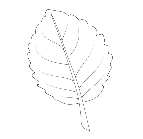 ベクトルイラスト 黒と白の色で孤立したグロキシニアの葉 アウトライン手描き — ストックベクタ