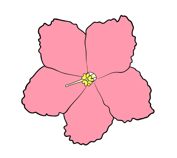 Vektor Ilustrasi Bunga Ungu Merah Muda Terisolasi Garis Luar Gambar - Stok Vektor