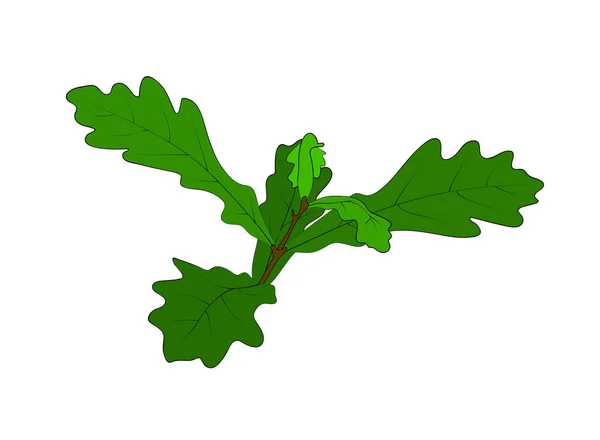 Vector Illustration Isolated Small Sapling Green Oak Tree Outline Hand — Stock Vector