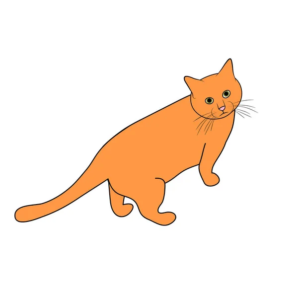 Ilustração Vetorial Desenho Animado Isolado Gato Doméstico Cabeça Vermelha Desenho — Vetor de Stock