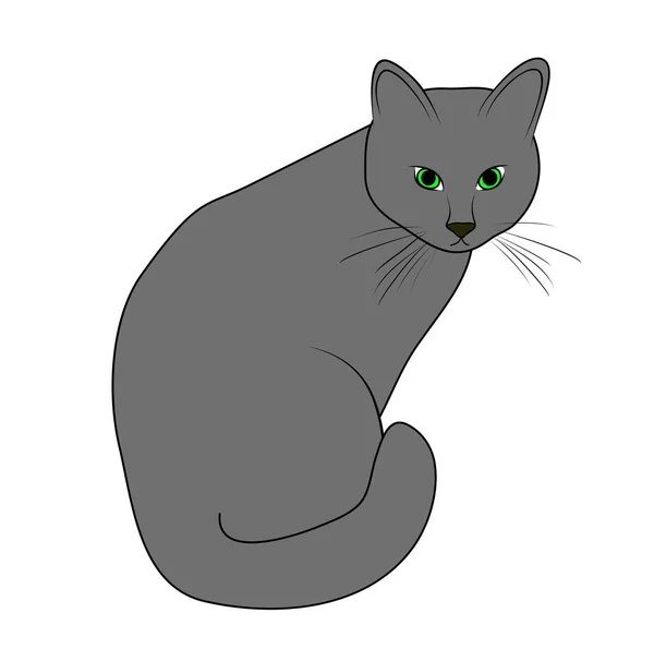 Vektor Illustration Isolierte Graue Hauskatze Mit Grünen Augen Umrissene Handgemalte — Stockvektor