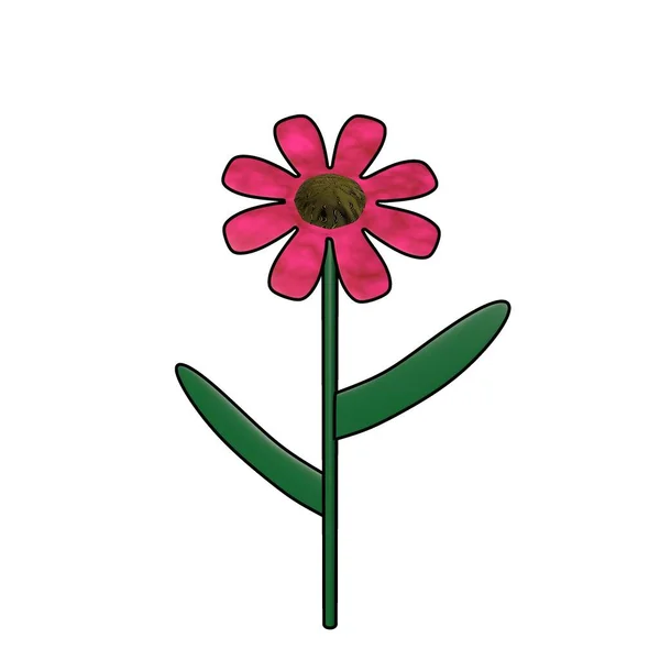 Illustration Der Rosa Blume Mit Blättern Auf Weißem Hintergrund — Stockfoto