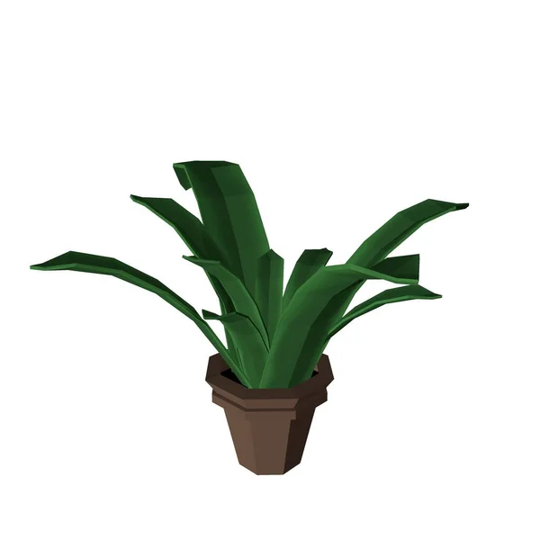 低ポリスタイルの白い背景に茶色の鍋に緑の植物の3Dイラスト — ストック写真
