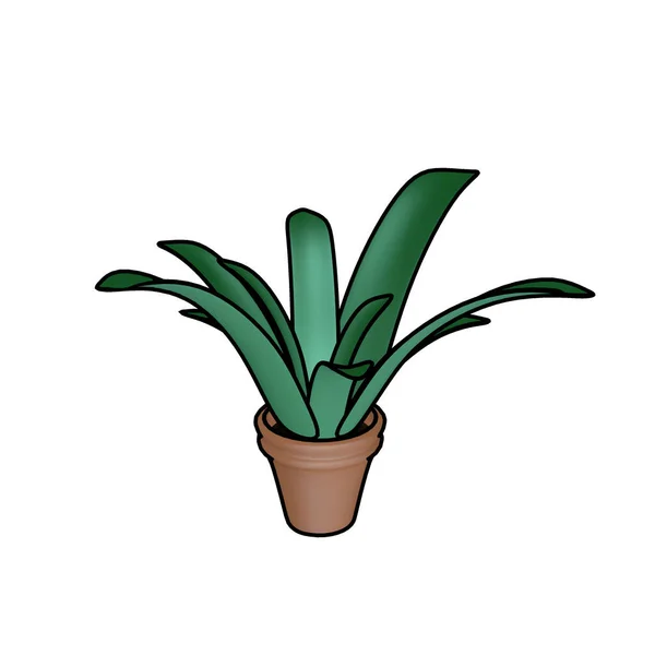 Illustratie Van Groene Plant Bruine Pot Geïsoleerd Witte Achtergrond — Stockfoto