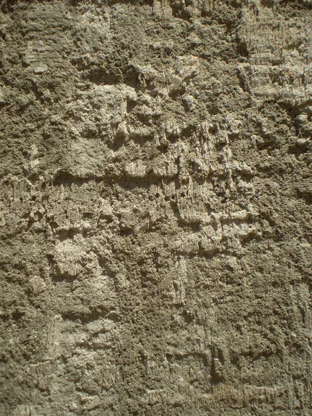 Grunge Tarzında Gri Tonlarda Soyut Arkaplan Kabuklu Deniz Hayvanlarının Duvar — Stok fotoğraf