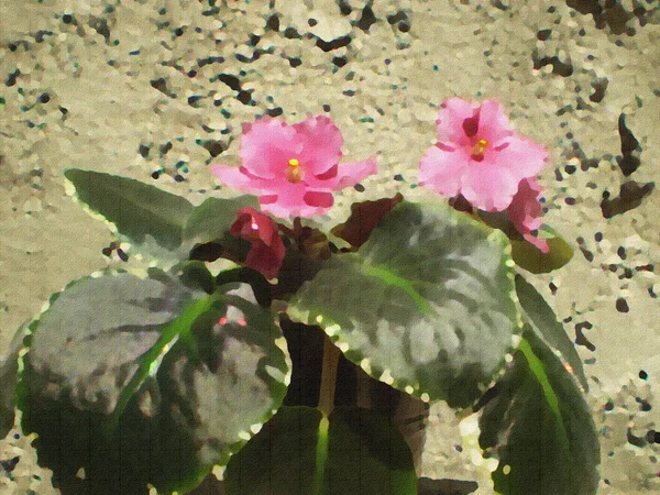 キャンバス上の水彩画のスタイルで灰色の背景にピンクのサンプルの花緑の葉のイラスト — ストック写真