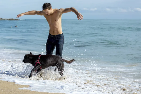 Junge kaukasische Männchen spielen mit Hund am Strand bei Sonnenaufgang oder Sonnenuntergang. — Stockfoto