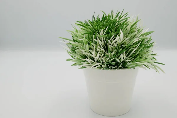 beautiful fake small plants in plastic pot concept on the white background