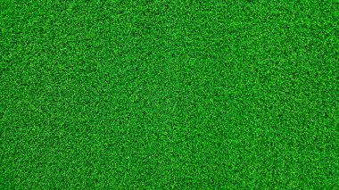  alan yeşil çim ve çiy sabah saatlerinde ve temiz hava