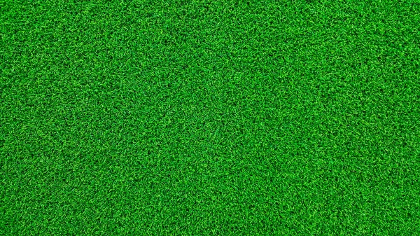 Fält grönt gräs och dagg på morgonen tid och frisk luft — Stockfoto