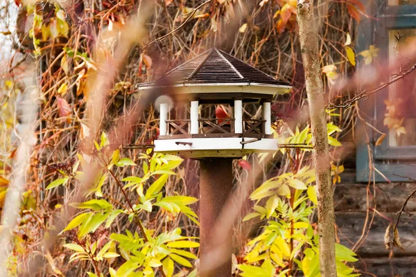 Wooden homemade small log bird feeder house with large windows for feeding birds on a tree close up