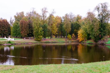 Rusya, Marfino, 29 Eylül 2019: Gotik Eski Moskova Soylu Kontu Marfino 'nun eski göleti