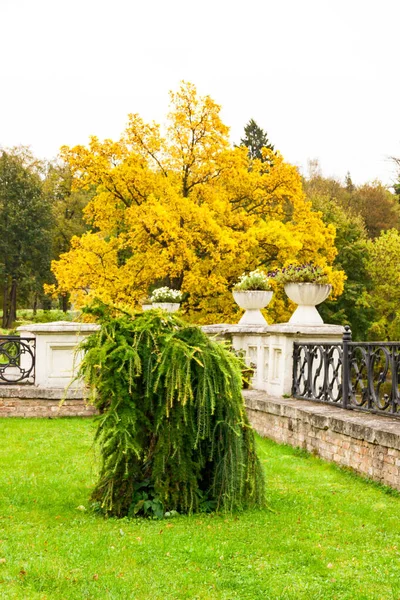 Rusya, Marfino, 29 Eylül 2019: Gotik Eski Moskova Noble kont malikanesi Marfino 'daki park bitkileri