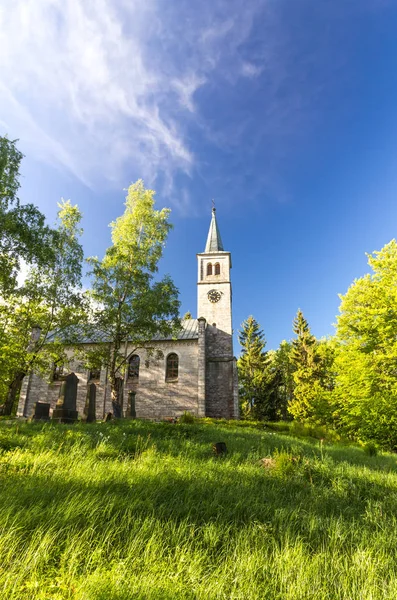 Kilise Ormanda Çim Mezarlık — Stok fotoğraf