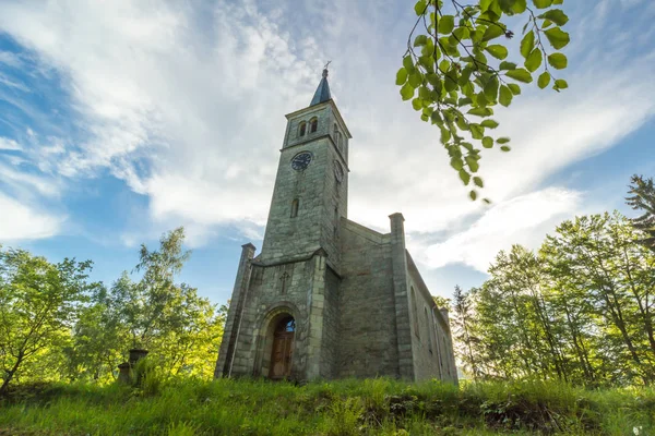 Güzel Eski Kilise Yeşil Ağaçların — Stok fotoğraf