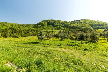 Dağlık yeşil tepeler ve açık mavi gökyüzü