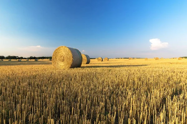 Schöne Sommerlandschaft Mit Heuballen Und Blauem Himmel — Stockfoto