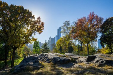 Central Park New York 'un ortasında.