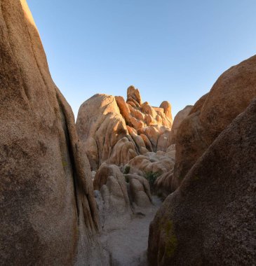 Joshua Tree Ulusal Parkı 'nda Dikey Kaya oluşumu