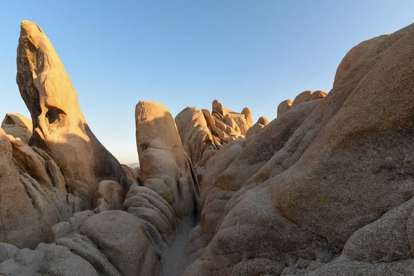 Joshua Tree Ulusal Parkı 'nda Dikey Kaya oluşumu