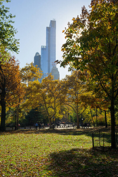 The skyline rises from behind the autumn trees, Central Park, New York
