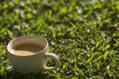 Beyaz fincan sıcak kahve, çimenlerin üzerinde kırmızı kalp topuyla hayat, usulca odaklan.