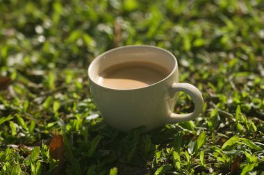 Beyaz fincan sıcak kahve, çimenlerin üzerinde kırmızı kalp topuyla hayat, usulca odaklan.