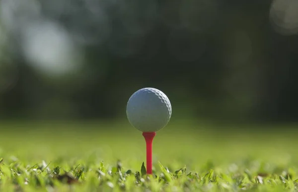 Golfball Auf Grünem Gras Golfsport Ist Balance Yin Yang Copy — Stockfoto