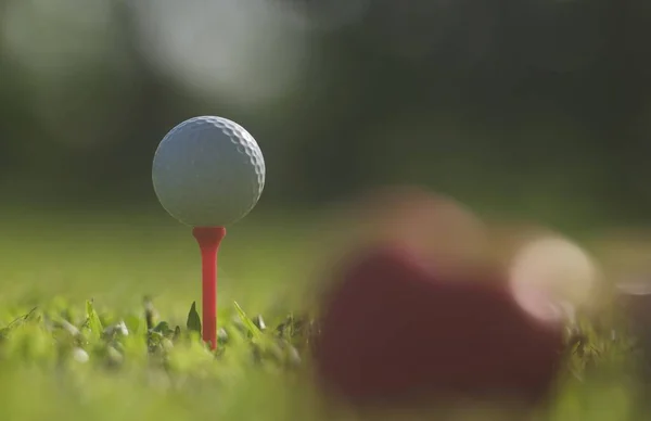 Golfboll Grönt Gräs Golf Sport Balans Yin Yang Copy Utrymme — Stockfoto