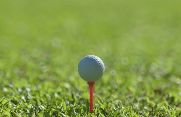 Bola Golfe Grama Verde Esporte Golfe Equilíbrio Espaço Yin Yang — Fotografia de Stock