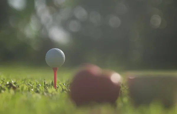Bola Golfe Grama Verde Esporte Golfe Equilíbrio Espaço Yin Yang — Fotografia de Stock