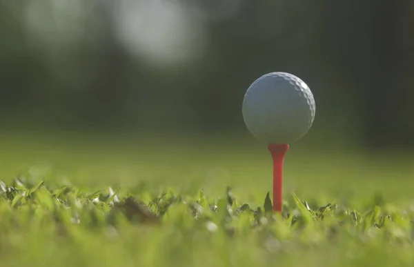 Bola Golfe Grama Verde Esporte Golfe Equilíbrio Espaço Yin Yang — Fotografia de Stock