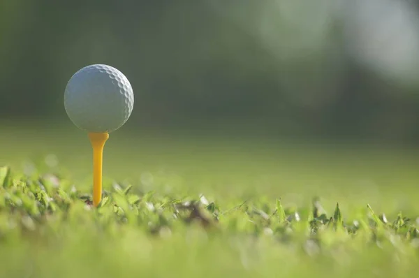 Golfball Auf Grünem Gras Golfsport Ist Balance Yin Yang Copy — Stockfoto