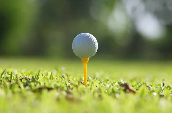 Bola Golfe Grama Verde Esporte Golfe Equilíbrio Espaço Yin Yang — Fotografia de Stock