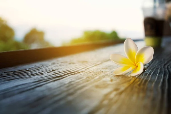 金银花在木制桌子上 阳光柔和 心旷神怡 心平气和 — 图库照片
