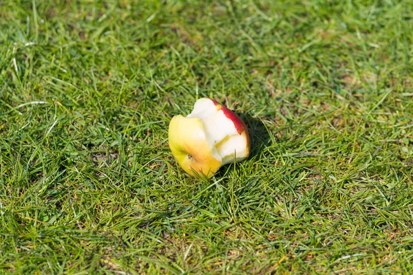 Weggeworfener Apfelkern Auf Dem Gras — Stockfoto
