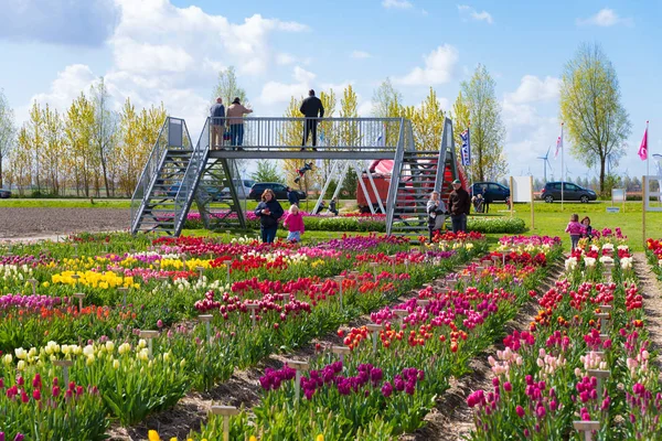 Espel Paesi Bassi Aprile 2017 Persone Sconosciute Nel Giardino Dei — Foto Stock
