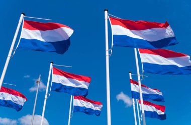 mavi gökyüzü karşı birçok Hollandalı bayrakları