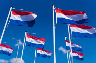 mavi gökyüzü karşı birçok Hollandalı bayrakları