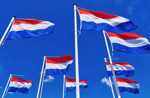 许多荷兰国旗对着蓝天 — 图库照片