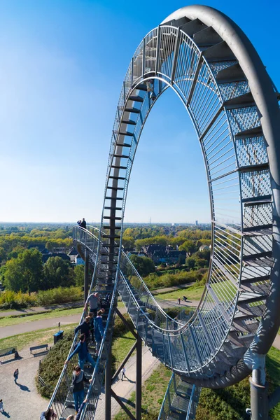 Duisburg Německo Srpna 2018 Detail Tygr Želva Magic Mountain Bývalý — Stock fotografie