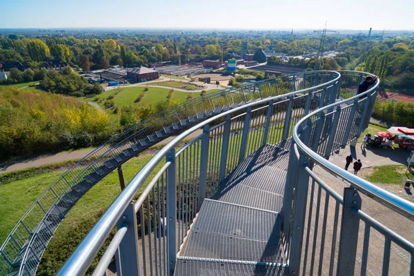 Duisburg Duitsland Augustus 2018 Detail Van Tiger Schildpad Magische Berg — Stockfoto