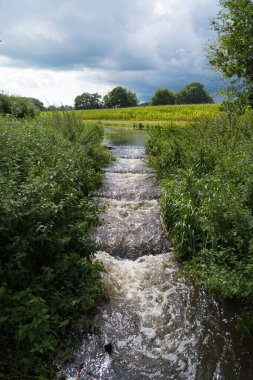 küçük balık merdiven Hollandalı bir nehir