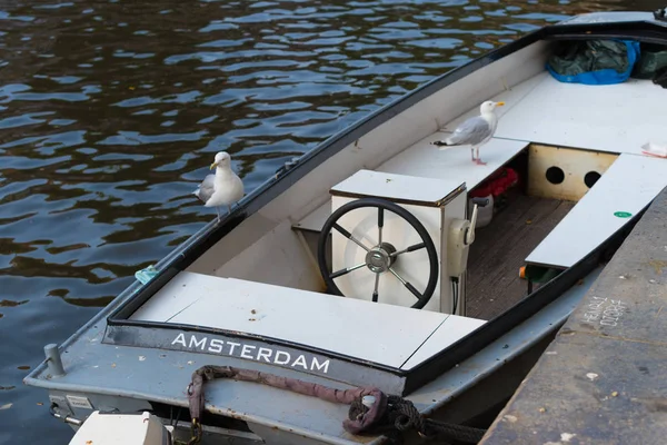 アムステルダム市運河でのモーター ボートの名前 — ストック写真