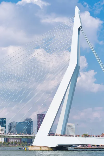 Rotterdam Hollanda Eylül 2017 Ayrıntı Ünlü Erasmus Bridge Rotterdam Liman — Stok fotoğraf