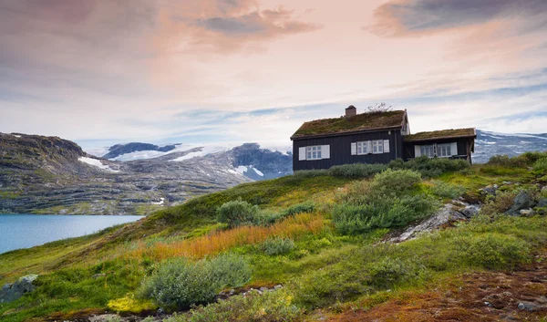 Typiskt norska hus — Stockfoto