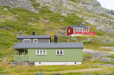 bir dağ manzara norveçevleri
