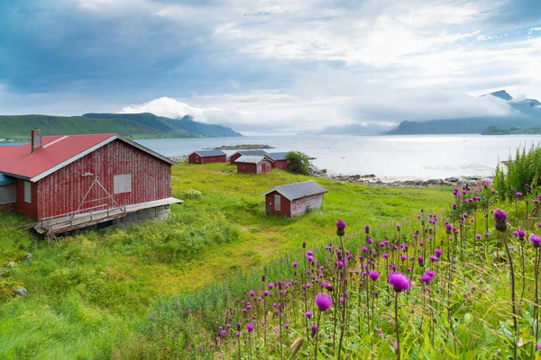 Casas tradicionales noruegas — Foto de Stock