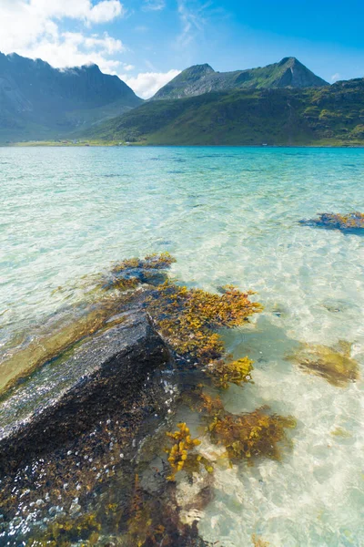 Hermosa playa de arena en las islas lofoten en Noruega —  Fotos de Stock